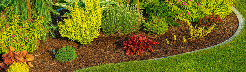 Landscaping Design and Construction